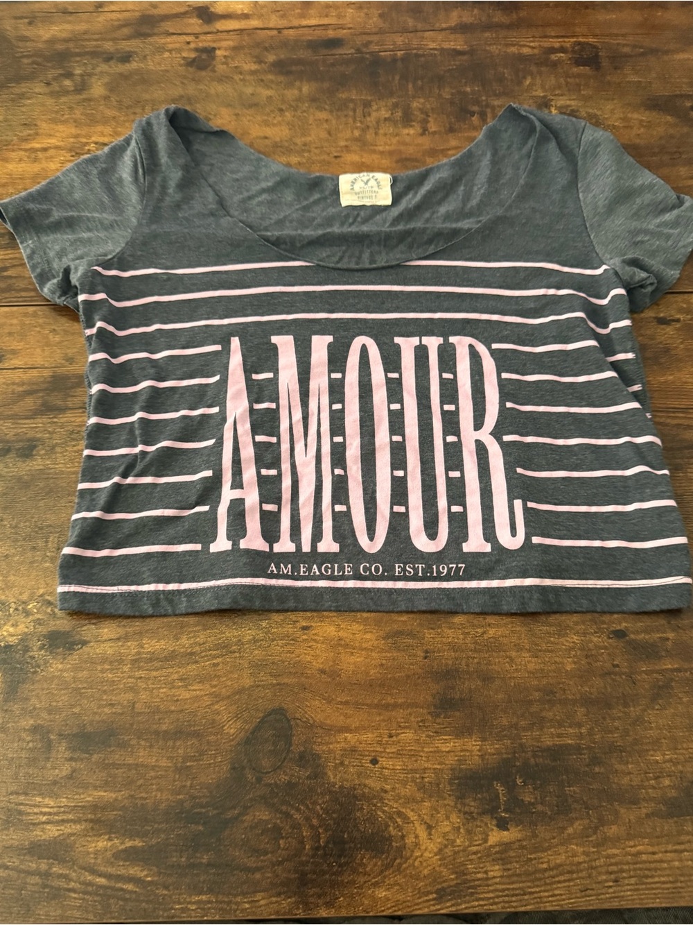 American Eagle Outfitters Gray Crop Tee